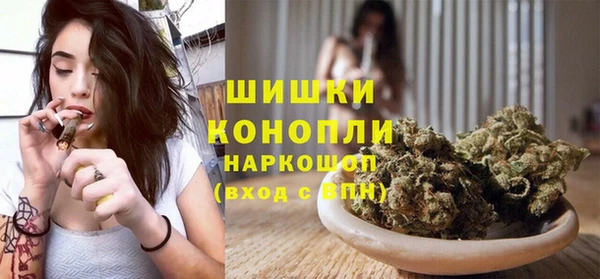 apvp Белокуриха